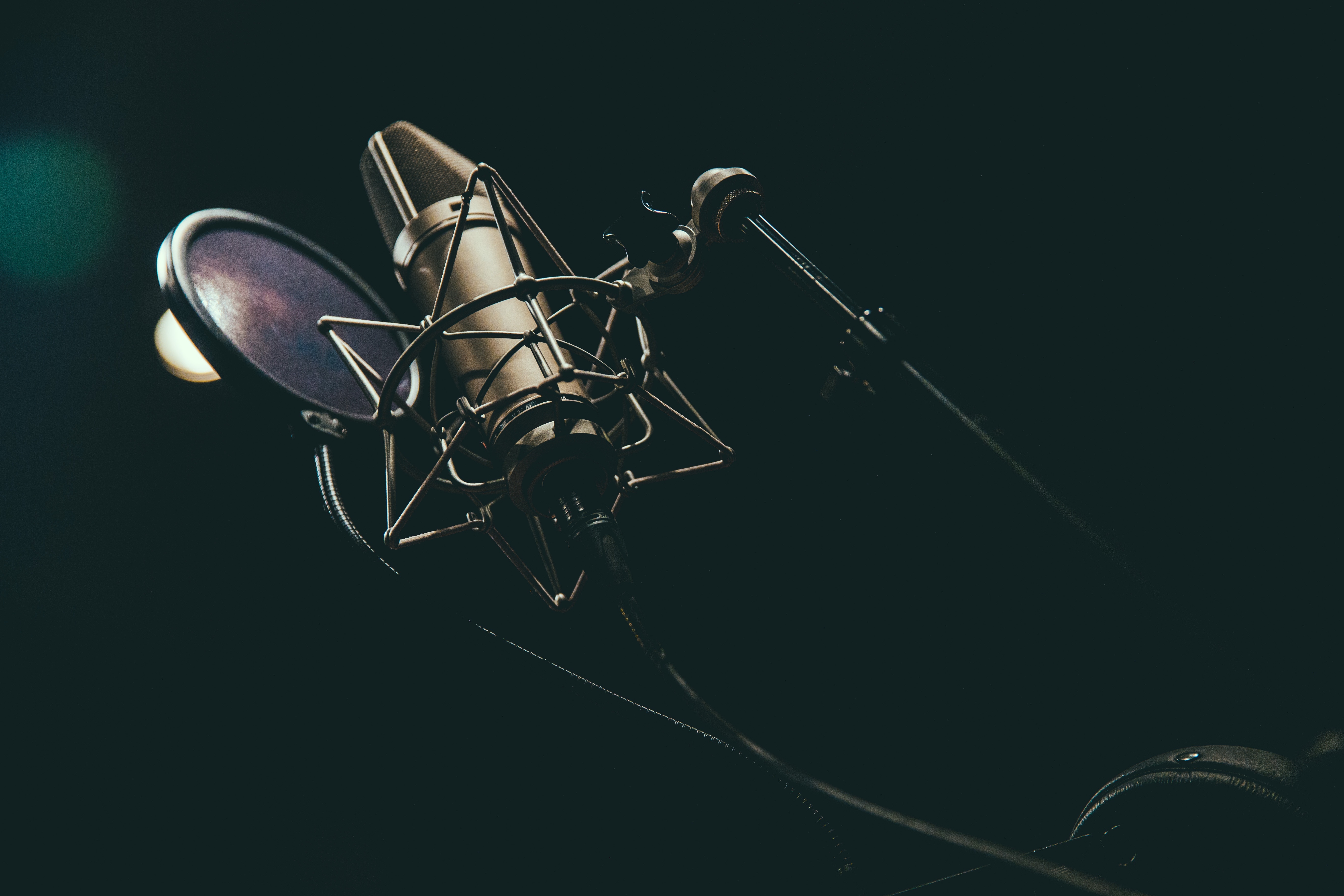 austin-neill-403352-unsplash