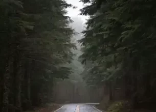 Forks in the Road